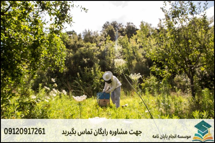 انجام پایان نامه ارشد رشته ژئومورفولوژی و مهندسی محیط + تضمینی