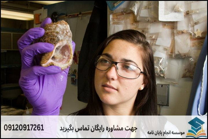 انجام پایان نامه ارشد رشته باستان شناسی دوران تاریخی ایران + تضمینی